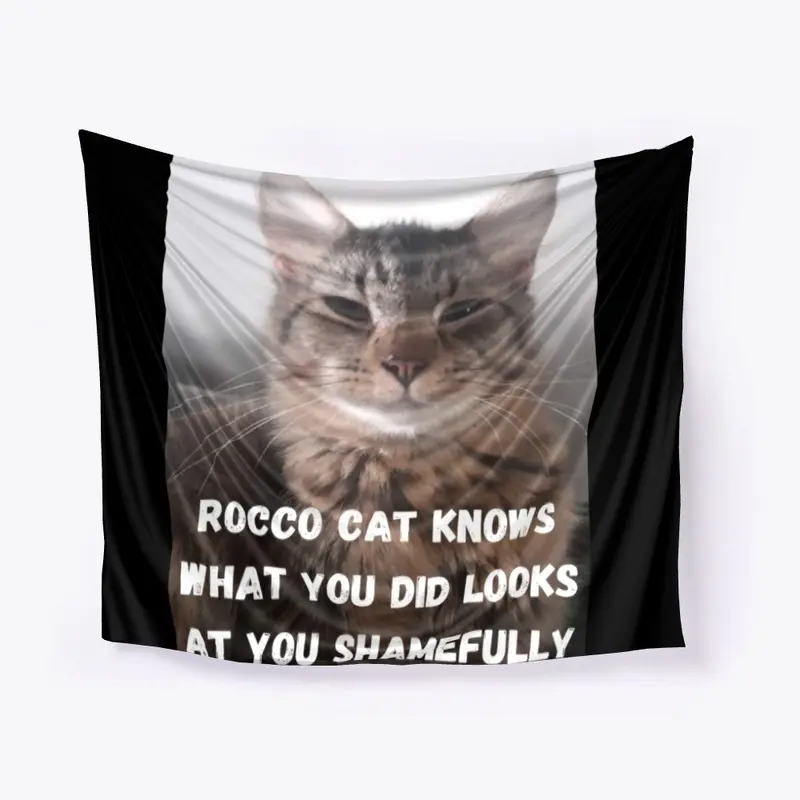 Funny Cat Memes Rocco Cat