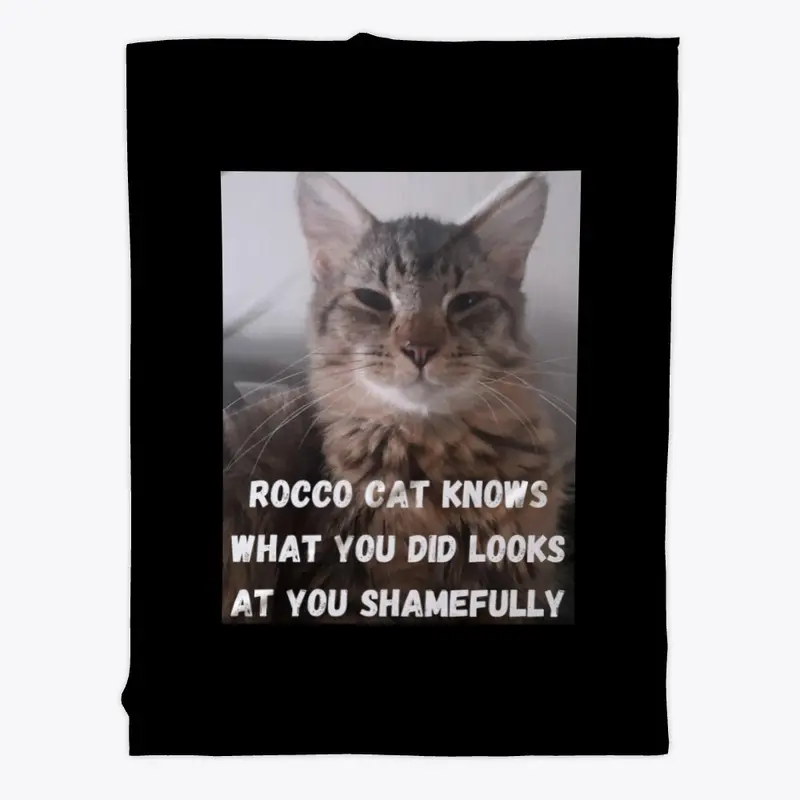 Funny Cat Memes Rocco Cat