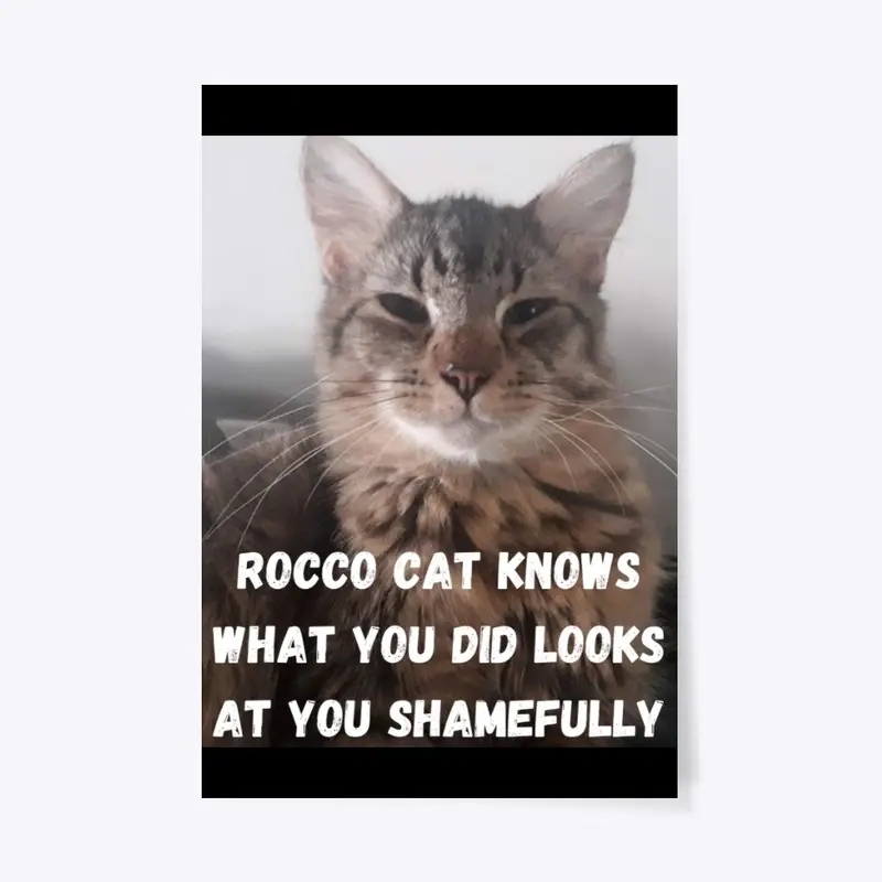 Funny Cat Memes Rocco Cat