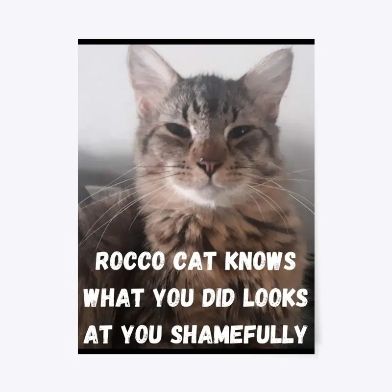 Funny Cat Memes Rocco Cat