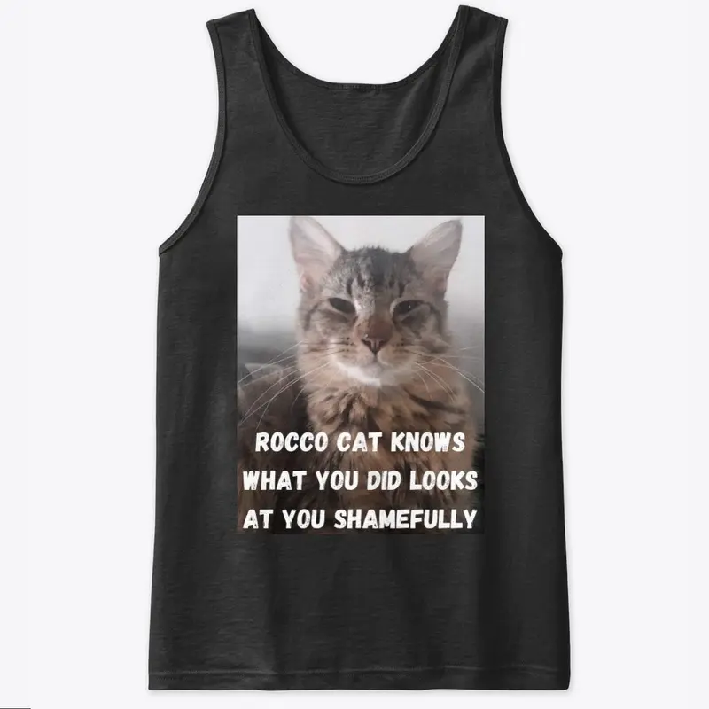 Funny Cat Memes Rocco Cat