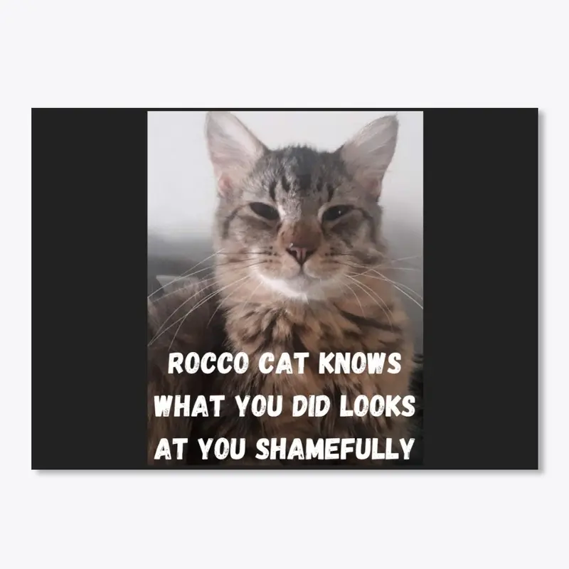 Funny Cat Memes Rocco Cat