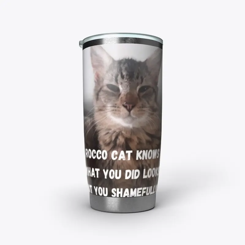 Funny Cat Memes Rocco Cat